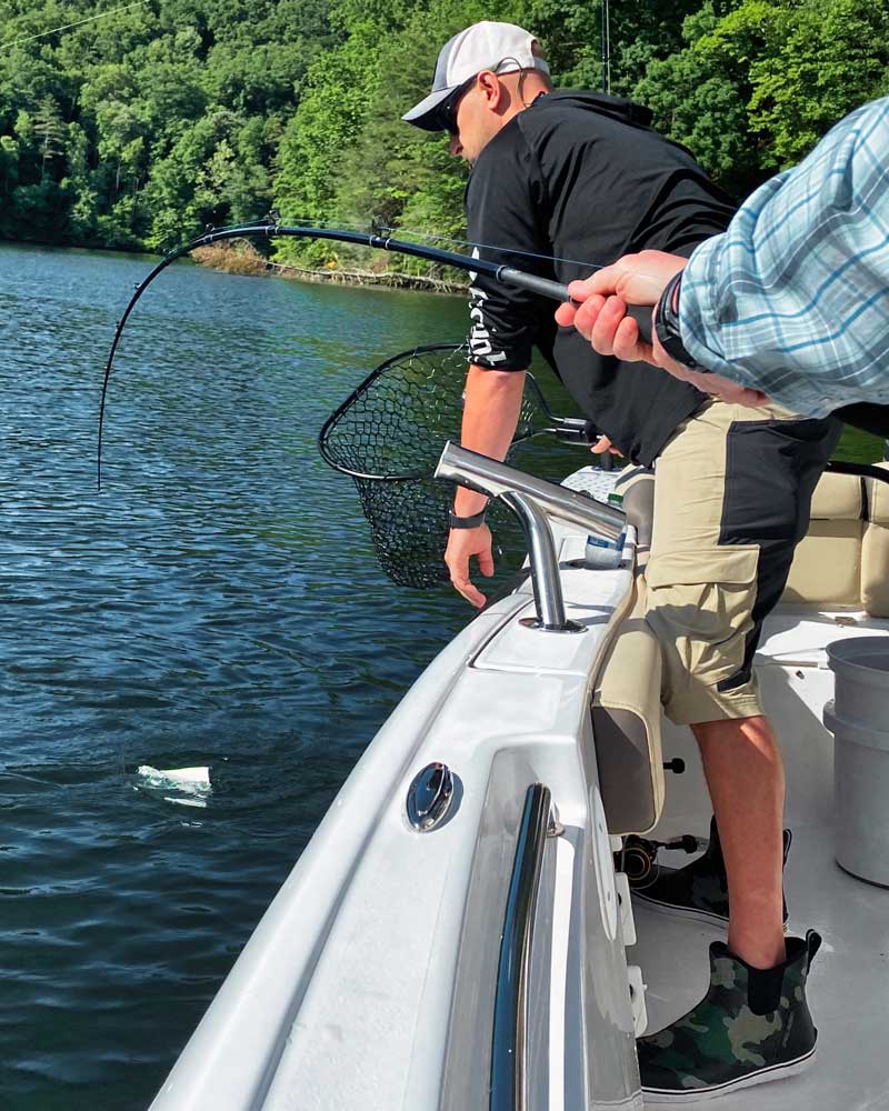 Fishing Charter on Lake Blue Ridge